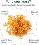 ROOT LABS Sea Moss Gummies I 92+ Minerals I Black Seed Oil I KSM 66 Ashwagandha I Lab Tested I No Added Sugar | for Men, Women I Non-GMO I 100% Natural & Organic I 1600 mg I 60 Gummy Infinity Warehouse