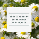 Herbal Essences Shine Collection Shampoo Infinity Warehouse