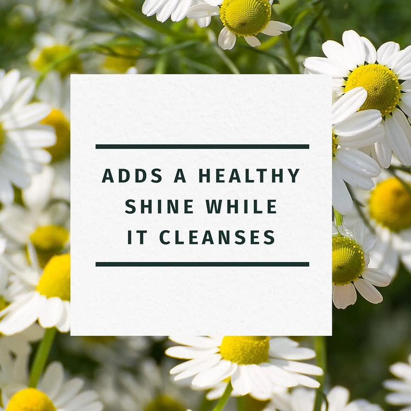 Herbal Essences Shine Collection Shampoo Infinity Warehouse