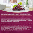 12-Hour Long-Lasting Piceid Resveratrol Supplement. Nitric Oxide Supplement. Supports Heart Health, Blood Flow, Boost Oxygen Superfood Powder, Keto Friendly. Vegan & Non-GMO. 60 Day Supply. Infinity Warehouse