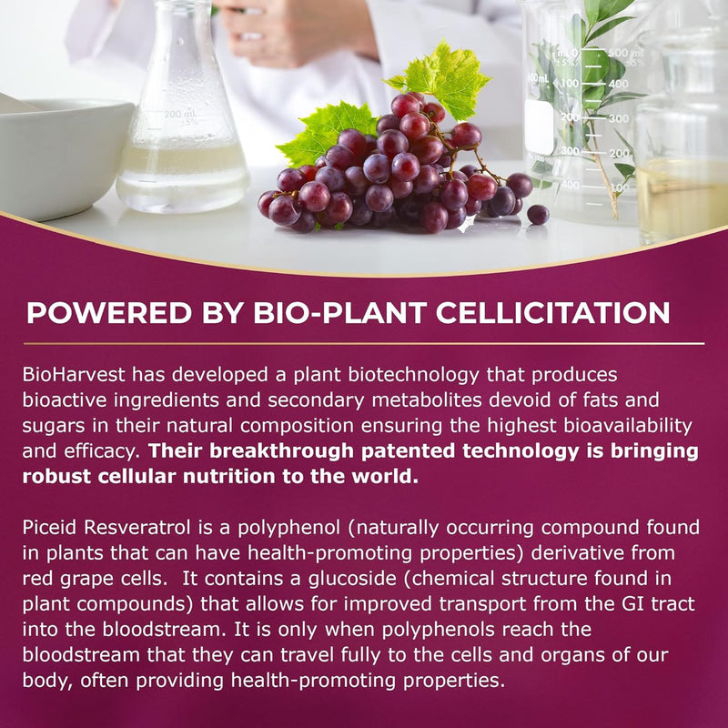 12-Hour Long-Lasting Piceid Resveratrol Supplement. Nitric Oxide Supplement. Supports Heart Health, Blood Flow, Boost Oxygen Superfood Powder, Keto Friendly. Vegan & Non-GMO. 60 Day Supply. Infinity Warehouse