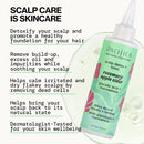 Pacifica Scalp Detox Set – Rosemary Apple Cider Vinegar Scalp Exfoliating Tonic with Scalp Massager Brush, Deep Cleansing & Clarifying Treatment for Buildup, Dry Flaky Scalp, Vegan Infinity Warehouse