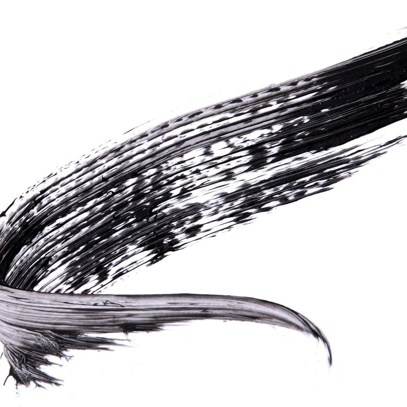 Josie Maran Argan Black Oil Mascara - Condition, Strengthen, and Volumizes with Bamboo Extract and Natural Ingredients (8ml/0.27oz) Josie Maran