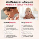 Nourished Prenatal Mama Multivitamin Bundle - 3 Pack Infinity Warehouse