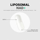 Codeage Liposomal NAD+ Supplement - NAD Nicotinamide Adenine Dinucleotide Coenzyme Pills - 500 mg NAD+ Per Serving & Betaine Anhydrous - Liposomal Delivery - Vegan, Non-GMO, Gluten-Free - 60 Capsules Infinity Warehouse