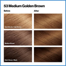 REVLON Total Color Permanent Hair Color, Clean and Vegan, 100% Gray Coverage Hair Dye, 53 Medium Golden Brown, 10.2 oz (Pack of 3) REVLON Store