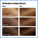 REVLON Total Color Permanent Hair Color, Clean and Vegan, 100% Gray Coverage Hair Dye, 53 Medium Golden Brown, 10.2 oz (Pack of 3) REVLON