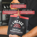 Lineage Provisions Micronized Creatine Monohydrate with Sea Salt - Micronized Creatine Powder for Training & Performance – No Artificial Ingredients – 90 Servings Infinity Warehouse