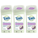 Tom's of Maine Women's Antiperspirant Deodorant Stick, Deodorant for Women, Antiperspirant for Women, Coconut Lavender, 2.25 Ounce, 3-Pack Tom's of Maine Store