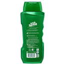 Irish Spring Body wash for men, sage and cedar - 18 ounces, 18 Fl Oz pack of 6 Irish Spring