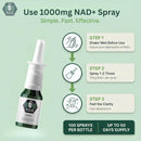 NAD+ Spray | 100 Sprays | Nicotinamide Adenine Dinucleotide | NAD+ | 100% Pure & USA Made | 10mg Per Spray to Support Wellbeing Infinity Warehouse