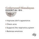 Edens Garden Cedarwood- Himalayan Essential Oil, 100% Pure Therapeutic Grade (Undiluted Natural/ Homeopathic Aromatherapy Scented Essential Oil Singles) 10 ml Edens Garden