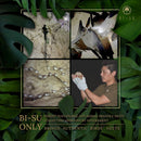 Extract Jelly Stick | Natural Swiftlet Nests Extract, Collagen, Vitamin C, Japanese Skincare, Anti-Aging, Maintains Skin's Elasticity, Boosts Immune System, GI Health, Rose Flavor, 7 PCS Infinity Warehouse