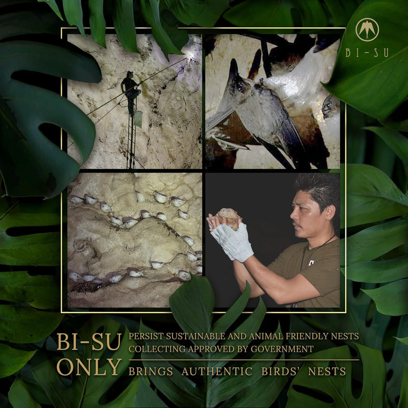 Extract Jelly Stick | Natural Swiftlet Nests Extract, Collagen, Vitamin C, Japanese Skincare, Anti-Aging, Maintains Skin's Elasticity, Boosts Immune System, GI Health, Rose Flavor, 7 PCS Infinity Warehouse