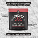Lineage Provisions Micronized Creatine Monohydrate with Sea Salt - Micronized Creatine Powder for Training & Performance – No Artificial Ingredients – 90 Servings Infinity Warehouse