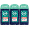 Tom's of Maine Antiperspirant Deodorant for Men, North Woods, 2.8 oz, Pack of 3 (Packaging May Vary) Infinity Warehouse