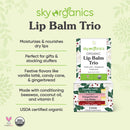 USDA Organic Lip Balm Trio by Sky Organics (3 Sticks) Winter Flavors Gift Pack Cruelty-Free Candy Cane, Gingerbread, Vanilla Latté Lip Balm Gift Set for Dry Lips Limited Edition Made In USA Sky Organics