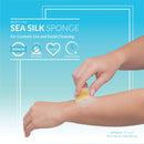 Neptune Natural Sea Soft Silk Sponge - for Cosmetic Use, Art, Facial Cleansing 12pk, 1-1.5 inches Neptune Natural