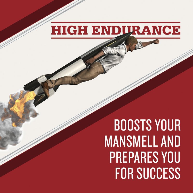 Old Spice High Endurance Fresh Scent Body Wash for Men, 18 oz Old Spice Store