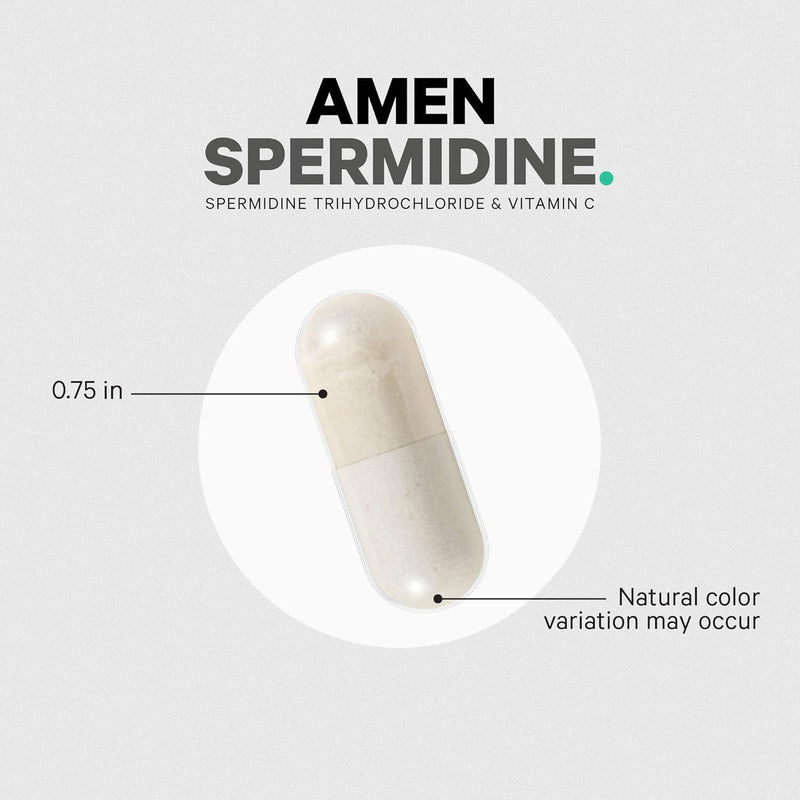 Amen Spermidine Supplement - Spermidine Trihydrochloride Pills with Vitamin C Ascorbic Acid - Only 1 Capsule Per Serving - Vegan, Non-GMO, Gluten-Free - 30 Capsules Infinity Warehouse