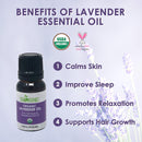 Organic Lavender Essential Oil by Sky Organics (10 ml.) 100% Pure Steam-distilled USDA Organic Lavender Essential Oil Natural Lavender Oil for Aromatherapy Diffuser Massage Candles and DIY Sky Organics Store