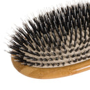 Bass, Bass Boar Nylon Oval Brush Bass Brushes