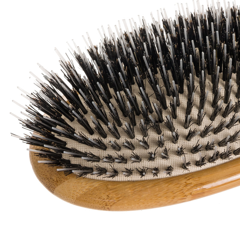 Bass, Bass Boar Nylon Oval Brush Bass Brushes