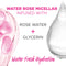 Garnier SkinCare Micellar Cleansing Water with Rose Water and Glycerin, 13.5 Ounce (Pack of 2) Water Rose Garnier SkinCare
