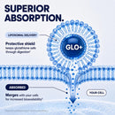 Liposomal Glutathione Supplement, 1150mg 11-in-1 Complex with NAC, 60ct Infinity Warehouse