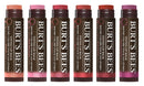 Burts Bees 100% Natural Origin Tinted Lip Balm, Zinnia with Shea Butter & Botanical Waxes - 1 Tube Burt's Bees
