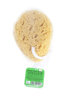 Jacent Deep Cleaning Sea Foam Bath and Body Sponge, 1-Pack Jacent