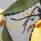 Bite Beauty Agave Lip Balm Bite Beauty