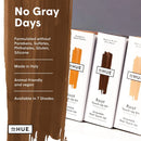 dpHUE Root Touch-Up Kit - Light Brown, 2 Applications - Permanent Grey Hair Touch Up & Root Cover Up Solution - Low Ammonia, Salon-Quality Creme Hair Color Made in Italy dpHUE Store