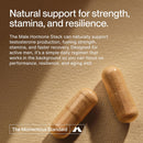 Momentous Male Hormone Support Stack - Natural Wellness & Performance Supplement to Support Joint Health, Hormone Balance & Lean Muscle Mass (Tongkat Ali, 30 Servings - Zinc Picolinate, 60 Servings) Infinity Warehouse