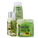 Mayoliva Set, 4 in 1 Combo Set (16oz Treatment) Mayoliva