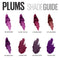 Maybelline New York Color Sensational Purple Lipstick, Satin Lipstick, Pretty in Plum, 0.15 oz Maybelline New York