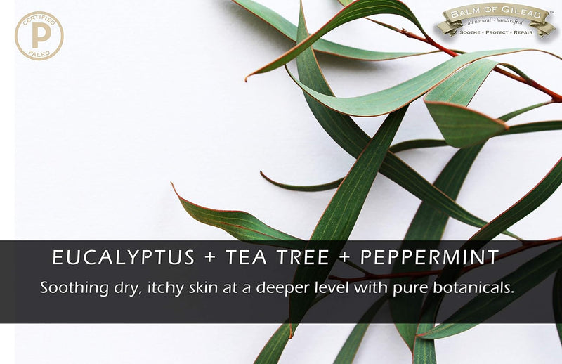 Foot Healing Cream – Intensive Moisture and Healing, Foot Care and Body, Skin Soothing Cream - Eczema, Ringworm, Dry, Chaffed Skin, Nail - Tea Tree with Eucalyptus, Frankincense and Sweet Myrrh Infinity Warehouse