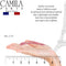 Camila Paris CP2932 French Hair Snap Clip Barrette, Hair Slides Clic Clac for Women, Styling Girls Side Slide-in Metal Snap Pin Hair Accessories for Women. Strong Hold, No Slip Grip, Made in France Camila