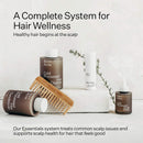 Act+Acre Plant-Based Dry Shampoo - Natural and Unscented Powder Spray Shampoo with Fulvic Acid and Rice Refresh Oily Hair and Restore Volume - Dry Shampoo for All Hair Types - (Now 30% Bigger) ACT+ ACRE