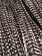 Hair Feathers Kit, 20 Long Feather Extensions with beads and loop tool kit, Black and White Striped,100% Real Rooster Feather Accessories, BW GRIZZ Feather Lily