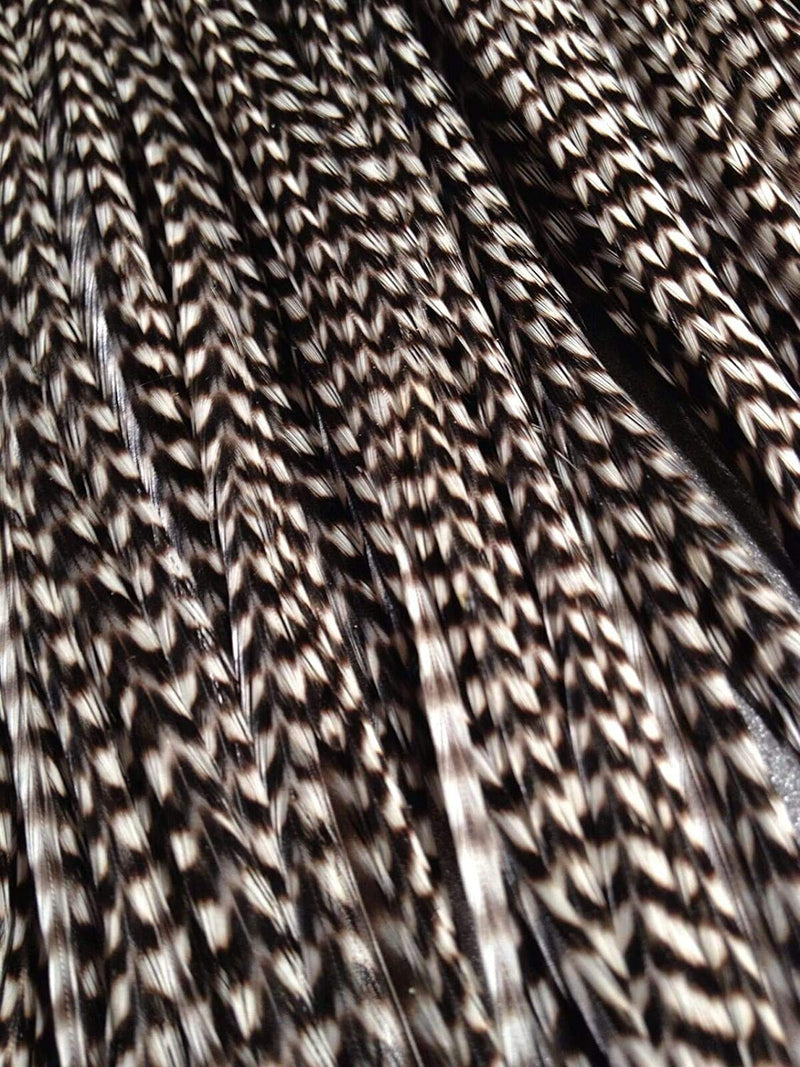 Hair Feathers Kit, 20 Long Feather Extensions with beads and loop tool kit, Black and White Striped,100% Real Rooster Feather Accessories, BW GRIZZ Feather Lily