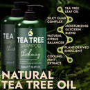 Tea Tree Shampoo & Conditioner Set | Thinning Hair Loss Treatments for Men and Women | Soothes Itchy Scalp & Dandruff | Boosts Hair Growth & Reduces Hair Loss | Sulfate & Paraben Free Infinity Warehouse