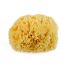 Natural Yellow Sea Wool Sponge 6 Inches. Perfect for Bath, Shower & Body Care. Super Soft & Not Skin Irritating. Baby Approved. Luxury Sponge in a Bag & Craft Box Paradise Goods
