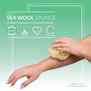 Neptune Natural Sea Wool Sponge - All Natural Honeycomb Renewable Sea Sponge, X -Large, Approx. 6 Inches Neptune Natural
