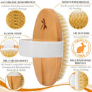 Dry Brushing Body Brush. Medium Soft Dry Brush for Cellulite and Lymphatic. For Beginners. Exfoliating Skin Brush and Free Konjac Sponge, for a Softer, Glowing Skin Belula