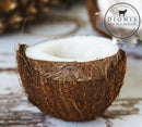 Dionis - Goat Milk Skincare Coconut Cream Scented Lip Balm (0.28 oz) - Made in the USA - Cruelty-free and Paraben-free Dionis Store