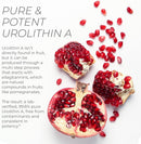 Neurogan Urolithin A PRO Capsules - 1000mg, 120 Ct - Advanced Cellular Health, Post Biotic Supplements - Ultra Micronized Urolithin A Supplement, Sourced from Pomegranate Extract Infinity Warehouse