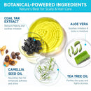 Roycederm Coal Tar Antidandruff Shampoo & Conditioner Set: 2% Coal Tar Extract Scalp Relief Shampoo for Psoriasis, Dandruff & Seborrheic Dermatitis - Soothes Itchy Scalp, Hydrates Hair Infinity Warehouse