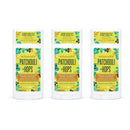 Schmidt's Aluminum Free Natural Deodorant for Women and Men, Patchouli + Hops for Sensitive Skin with 24 Hour Odor Protection, Certified Cruelty Free, Vegan Deodorant, 3.25 oz (Pack of 3) Schmidt's Store