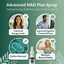 NAD+ Spray | 100 Sprays | Nicotinamide Adenine Dinucleotide | NAD+ | 100% Pure & USA Made | 10mg Per Spray to Support Wellbeing Infinity Warehouse